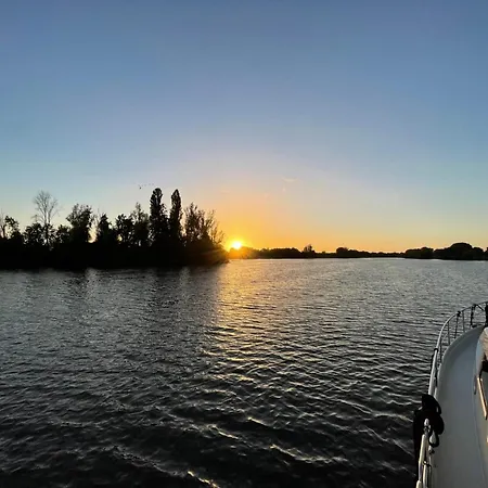 Yacht / Hausboot Linssen Gs 40.9 Ac Abuela Maasbracht